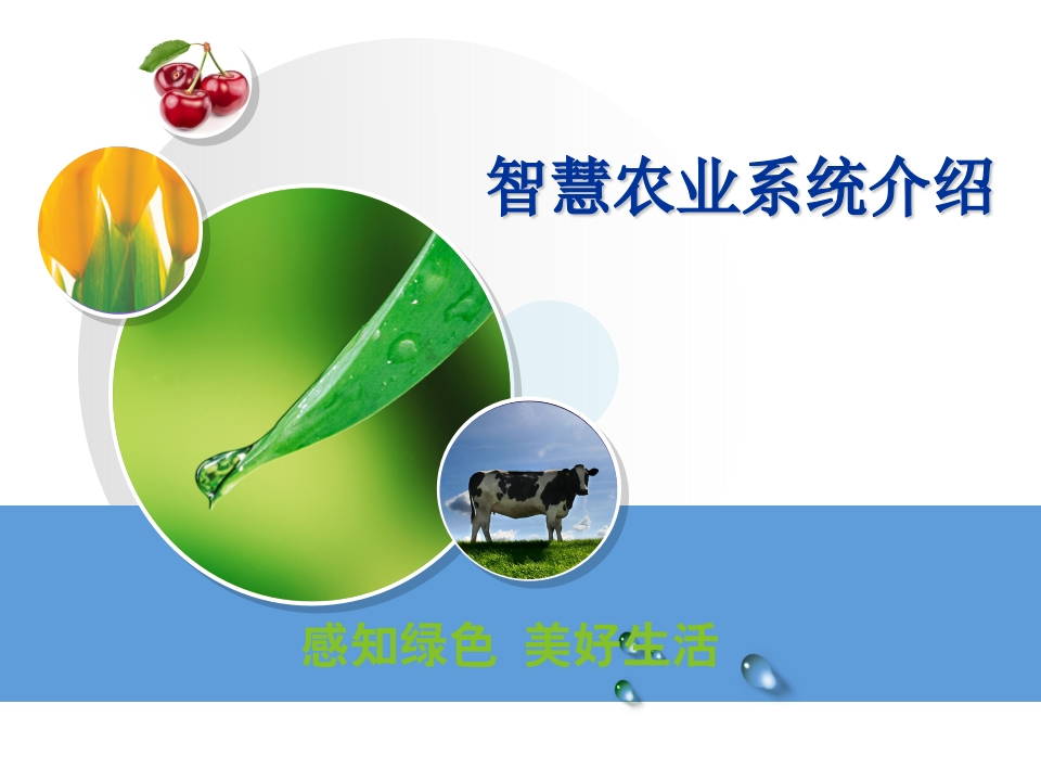 智慧农业系统介绍方案[46页PPT]